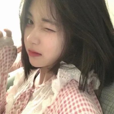 大毛狗